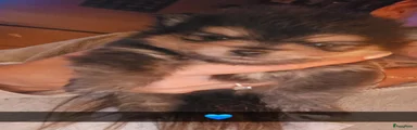 Pomeriaan 3
