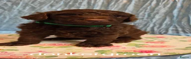 Verkocht