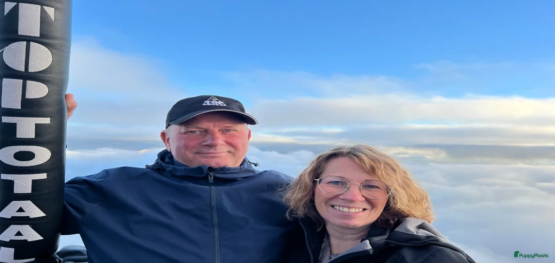 Galerij afbeelding {{count}}