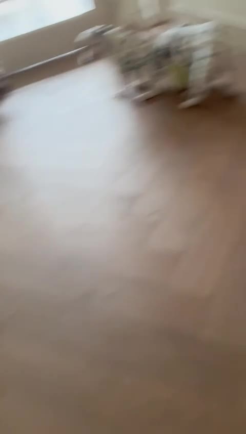 Dalmatiër honden te koop: 🐾 Laatste kans – Dalmatiër pup beschikbaar! 🐾 - Video 2