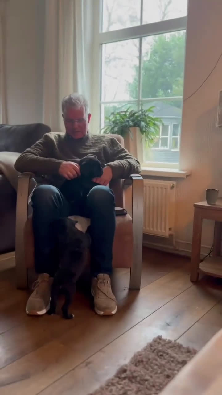 Cane Corso honden te koop: Prachtige CaneCorso's pups!  - Video 1