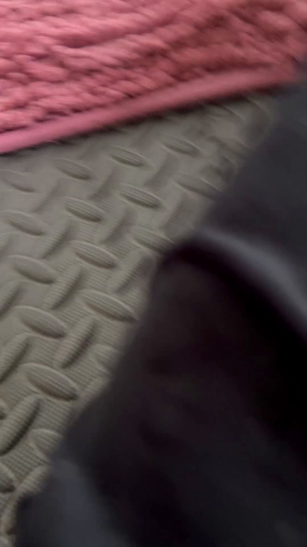 Pomchi honden te koop: Pomchi reutje - Video 1