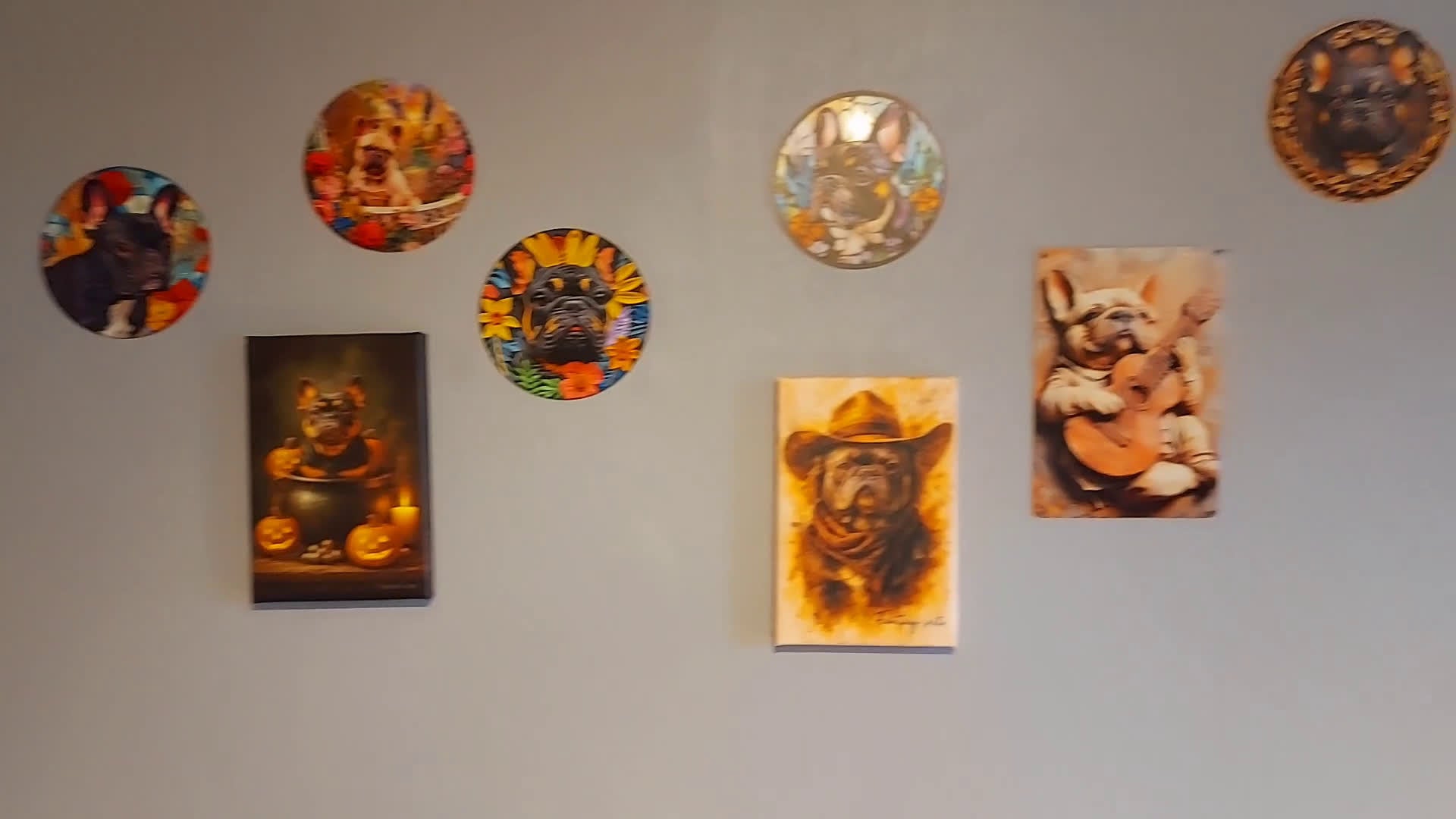 Franse Bulldog honden te koop: Prachtige Franse Bulldog pups met stamboom - Video 3