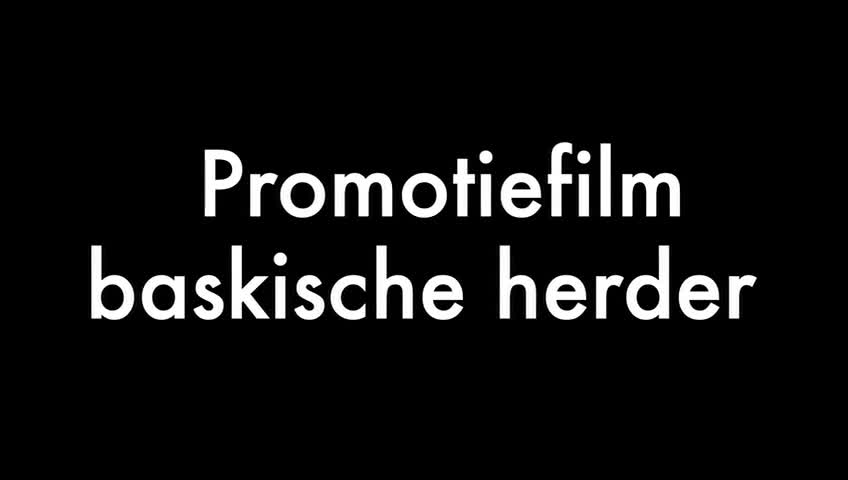 Groenendaeler honden te koop: Baskische herder pups - Video 1