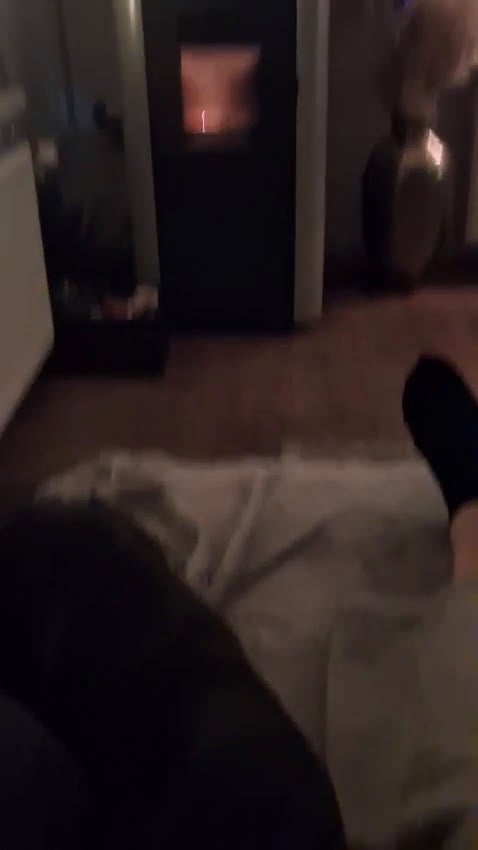 Teckel (korthaar)  honden te koop: Dwerg teckel puppy's - Video 2