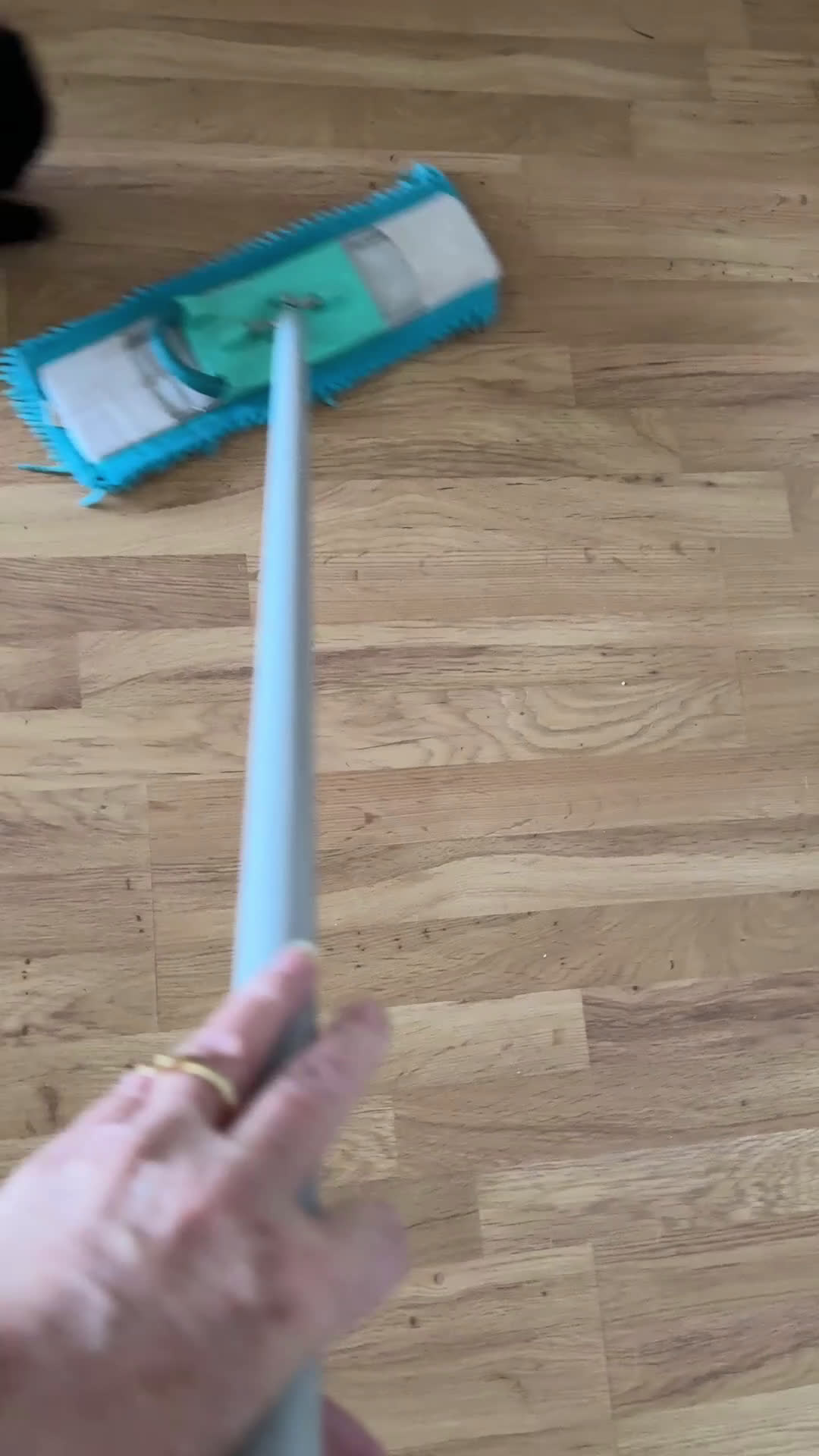 Pomeriaan honden te koop: Pomeriaan teefje - Video 3