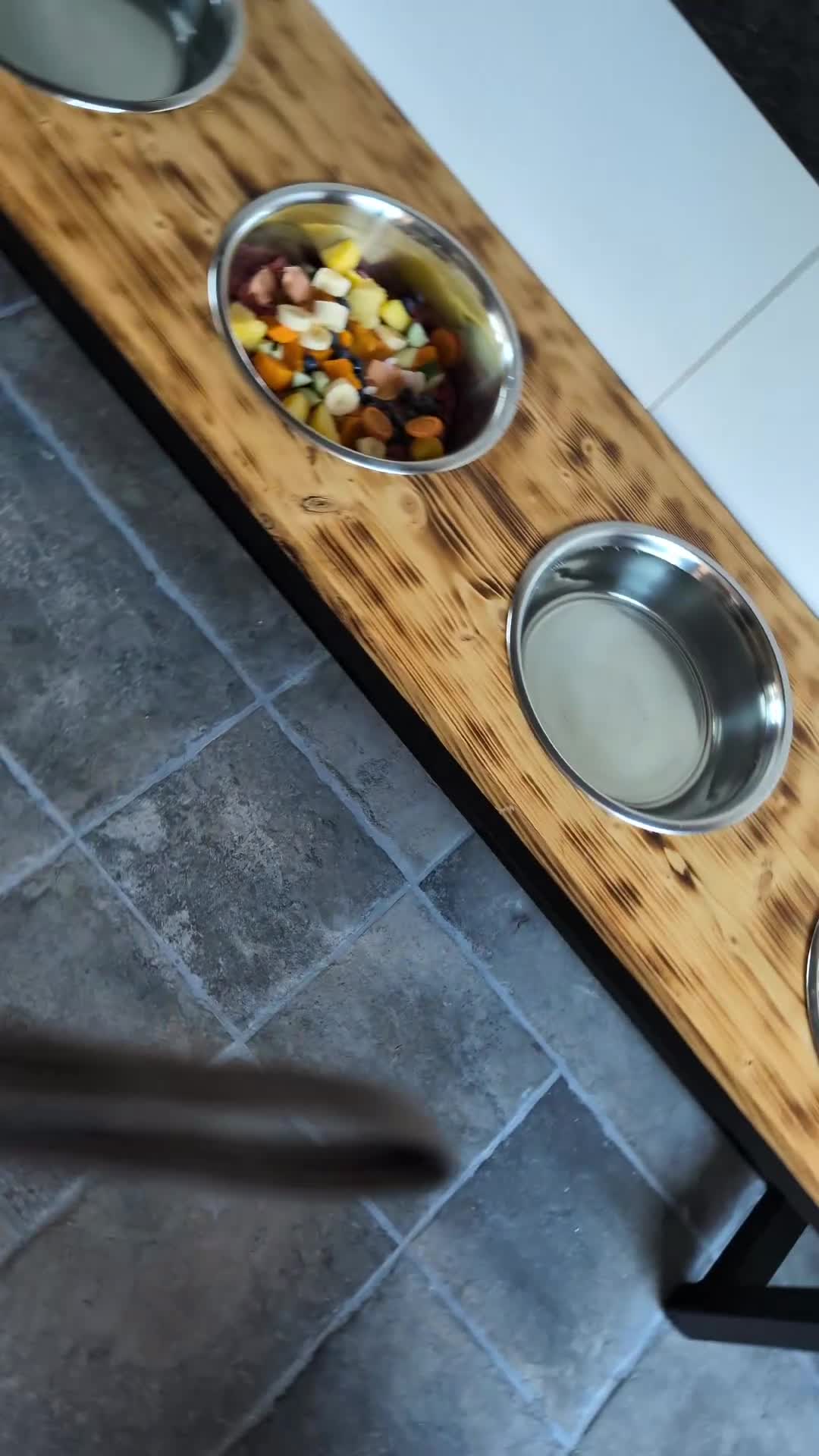 Rottweiler honden te koop: Prachtige Rottweilerpups  - Video 1
