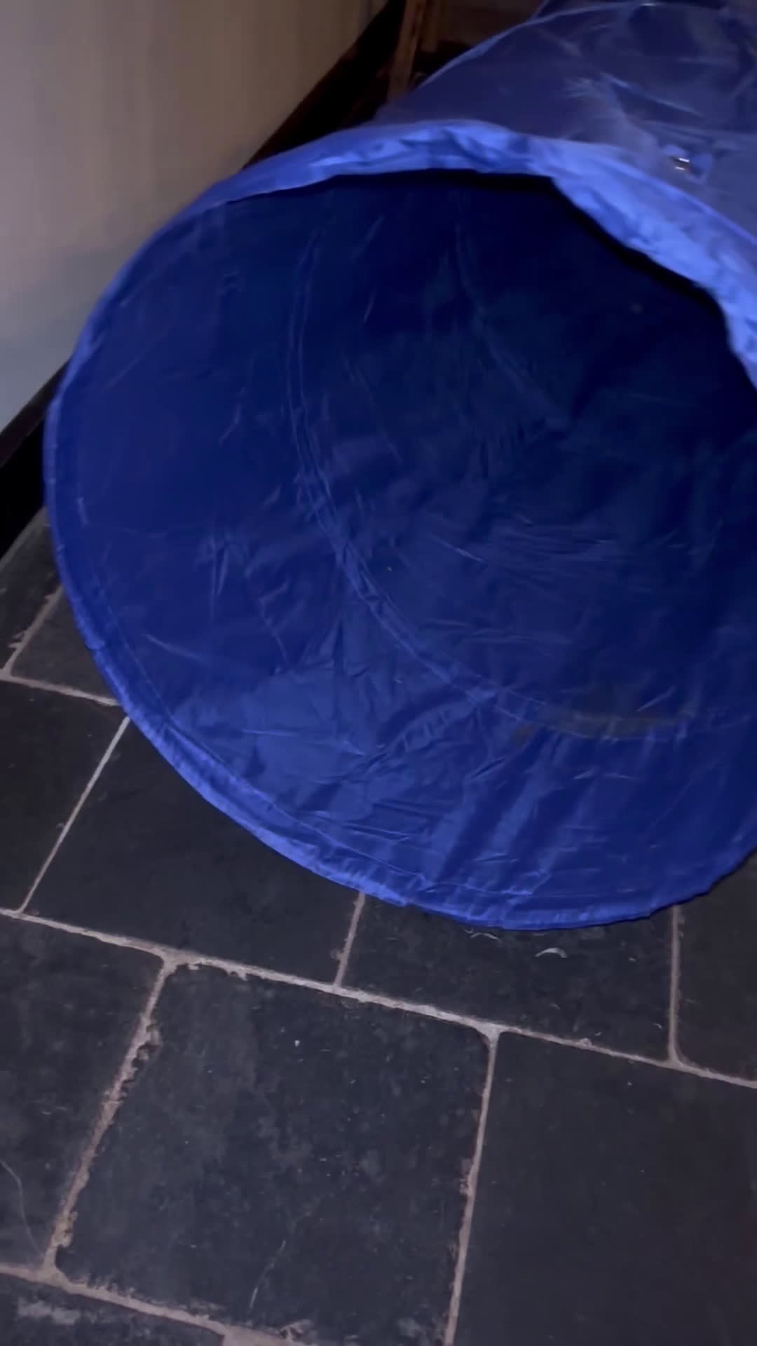 Labradoodle honden te koop: Labradoodle pups medium - Video 3