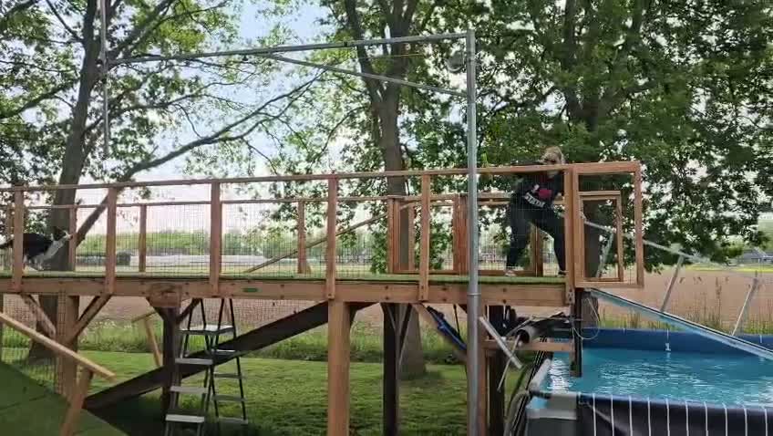 Kruising honden ter dekking: Sportieve reu zoekt passende teef in Zoetermeer - Video 1