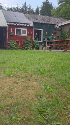Labradoodle honden te koop: Labradoodle F4 pups te koop! 🐶 in Balkbrug - Video 1